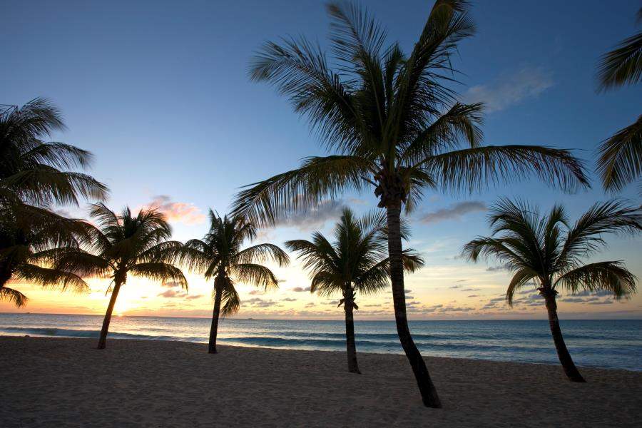 Beach Sunset Galley Bay