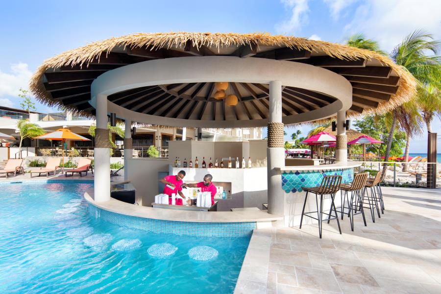 Swim Up Bar